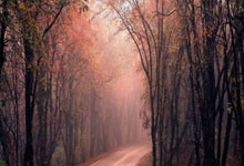 托卢兹球员成为关键先生，球队信心大增