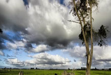 光大新生力量，汇聚一心，共铸辉煌