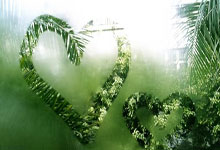 托卢兹球员成为关键先生，球队信心大增