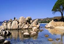 欧洲球队火线签下巨星球员